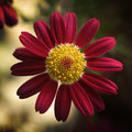 Signs of Spring II