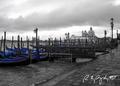 Venice II