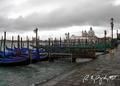 Venice I