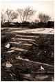 A Study of Destruction #5