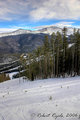 CRW_2144-01_3-01.jpg
