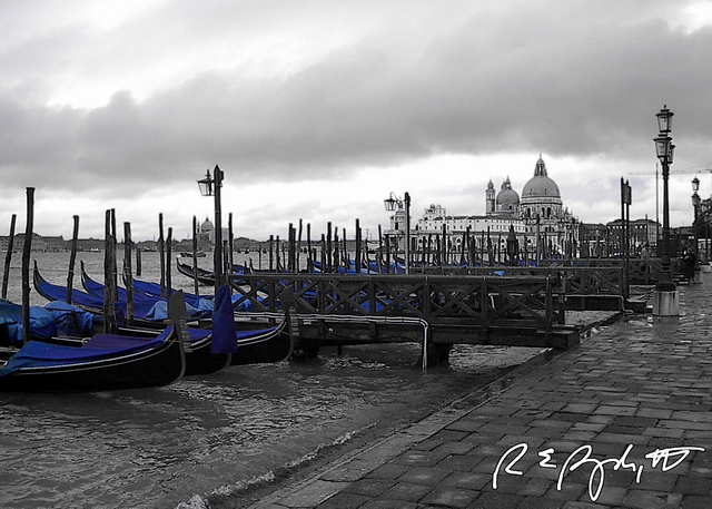 Venice II