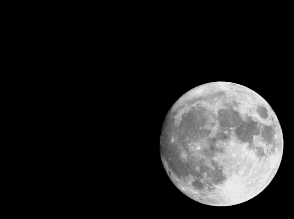 El Moon