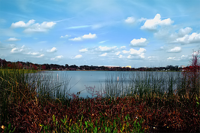 A Quiet Day at the Pond.