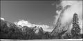 Yosemite Meadow, Winter.