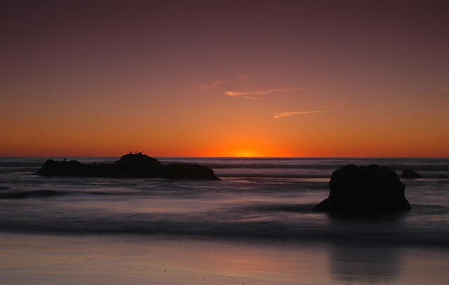 Birds, Rock, Sunset.