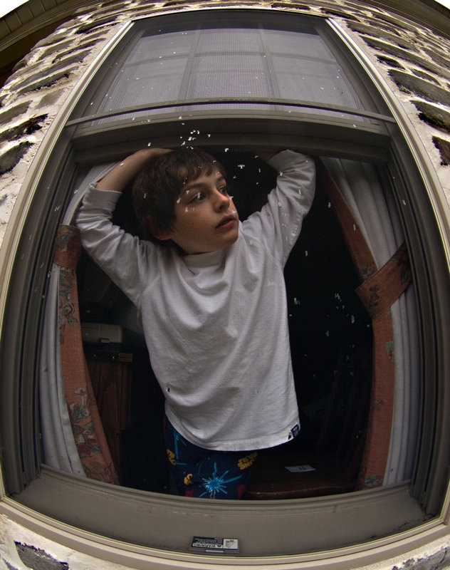window