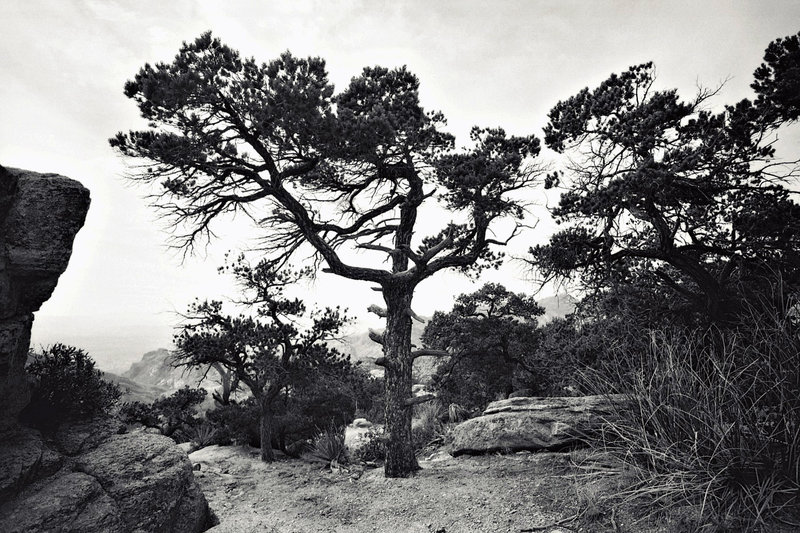 Acros4