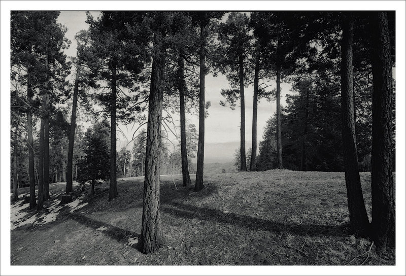 Acros3