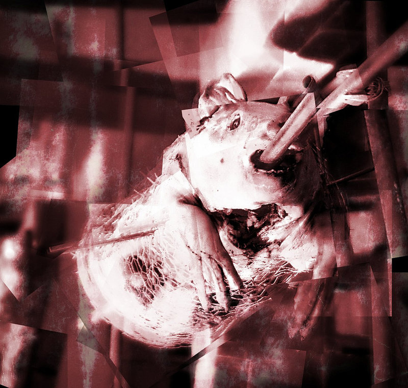 pork