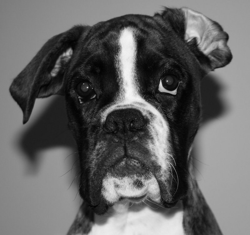 Bogey's Mug