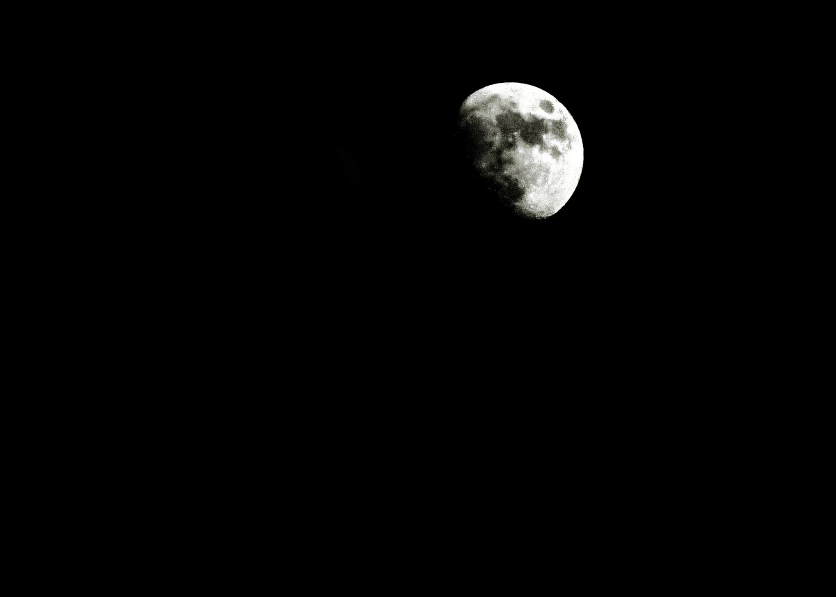 IMG_7028 (retouched)