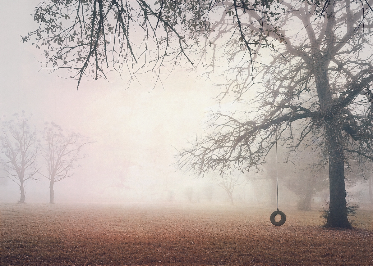 Tire Swing, Winter Fog