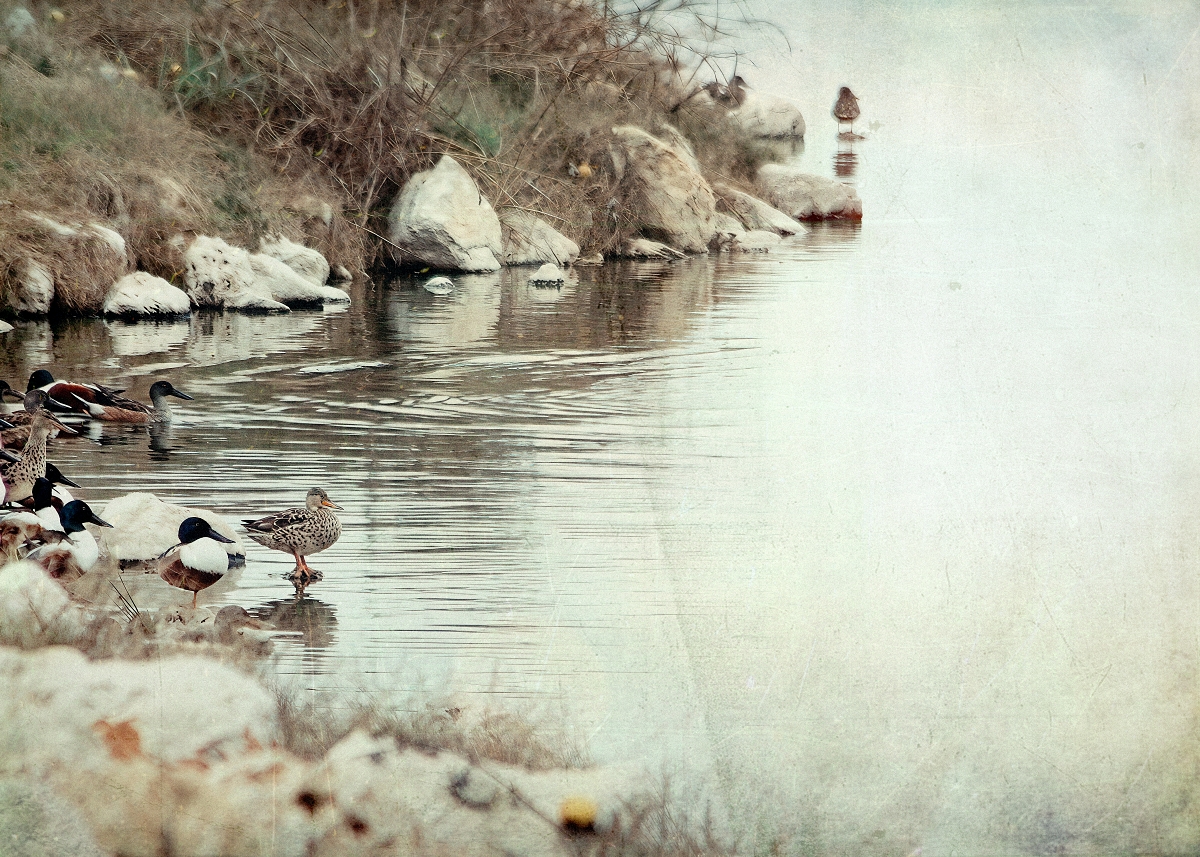 At Water's Edge