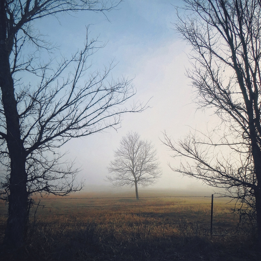Winter's Hush