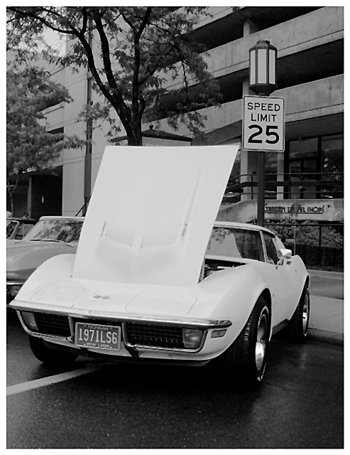 SL-25........right.jpg