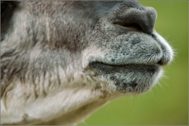kiss-me-_web_.jpg
