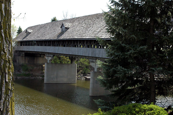 4331-web.jpg