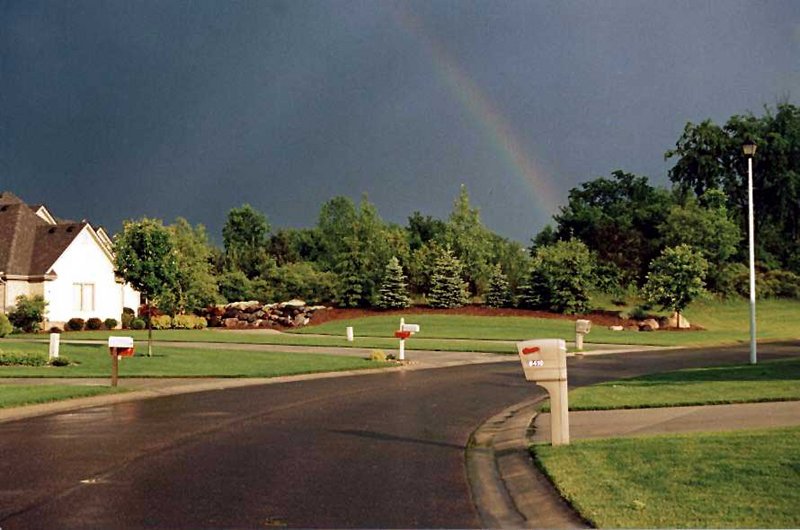 rainbow-web.jpg