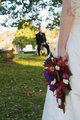IMG_8937a.jpg