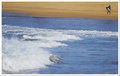 north avoca 044a.jpg