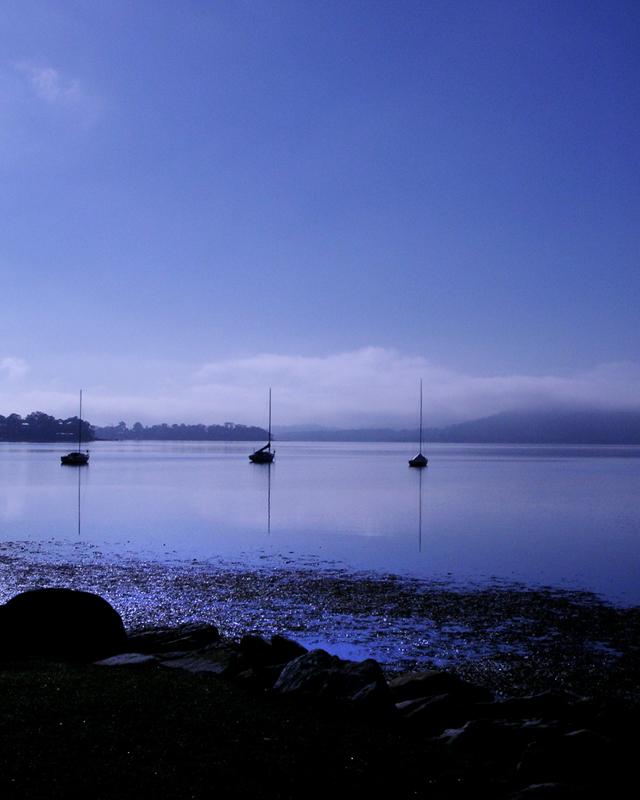 blue day