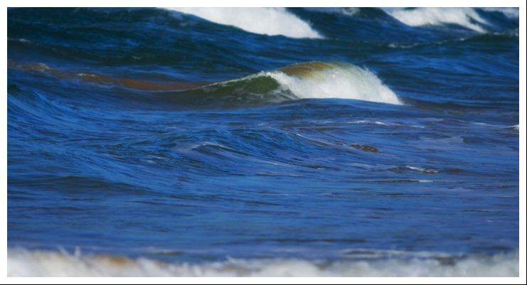 north avoca 059a.jpg