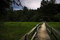 Fore River Marsh