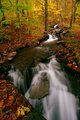 Autumn in New York