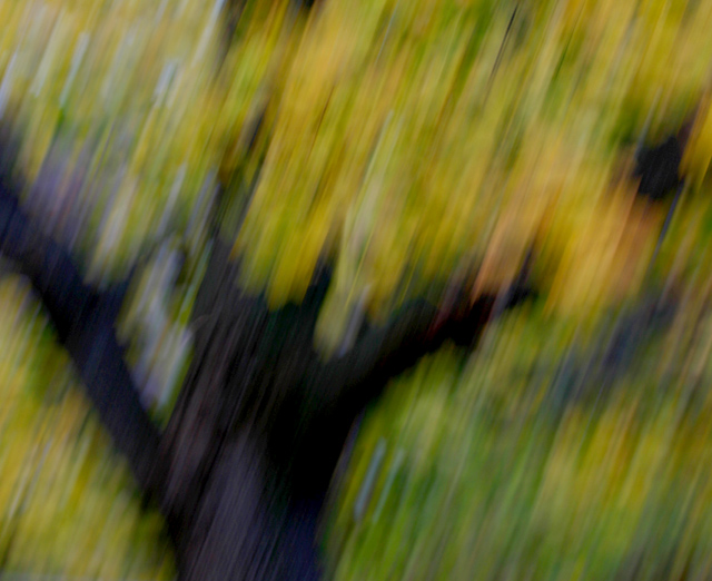 Impressionism 1