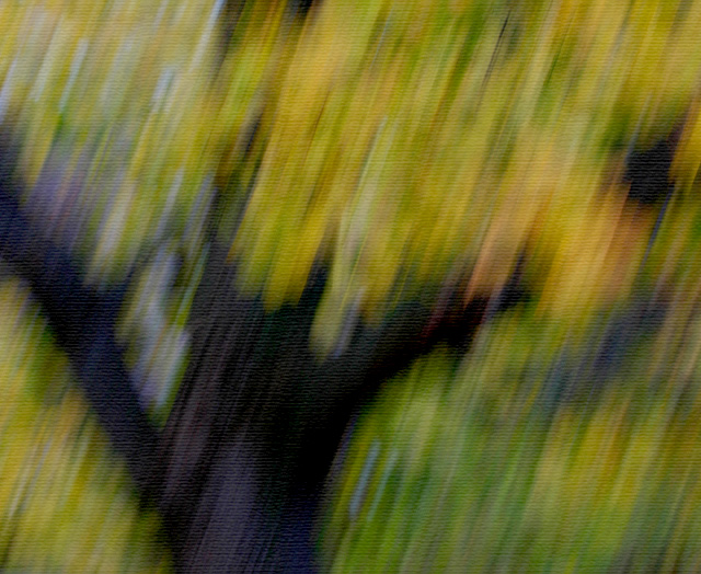 Impressionism 1 (on Canvas)