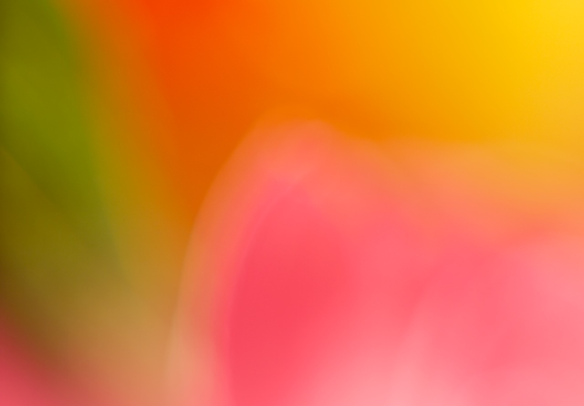 Colors