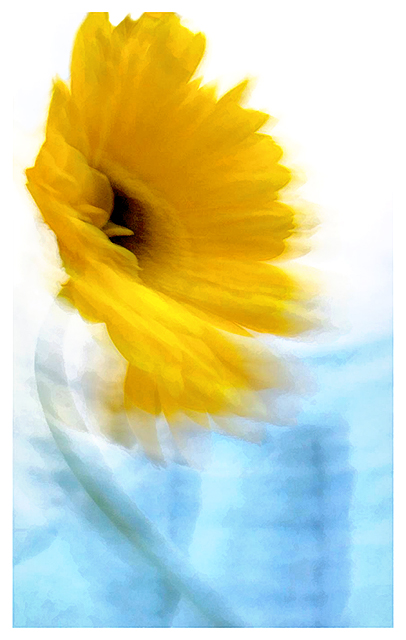 Whispers in the Wind
