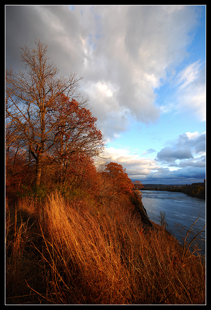 Golden View