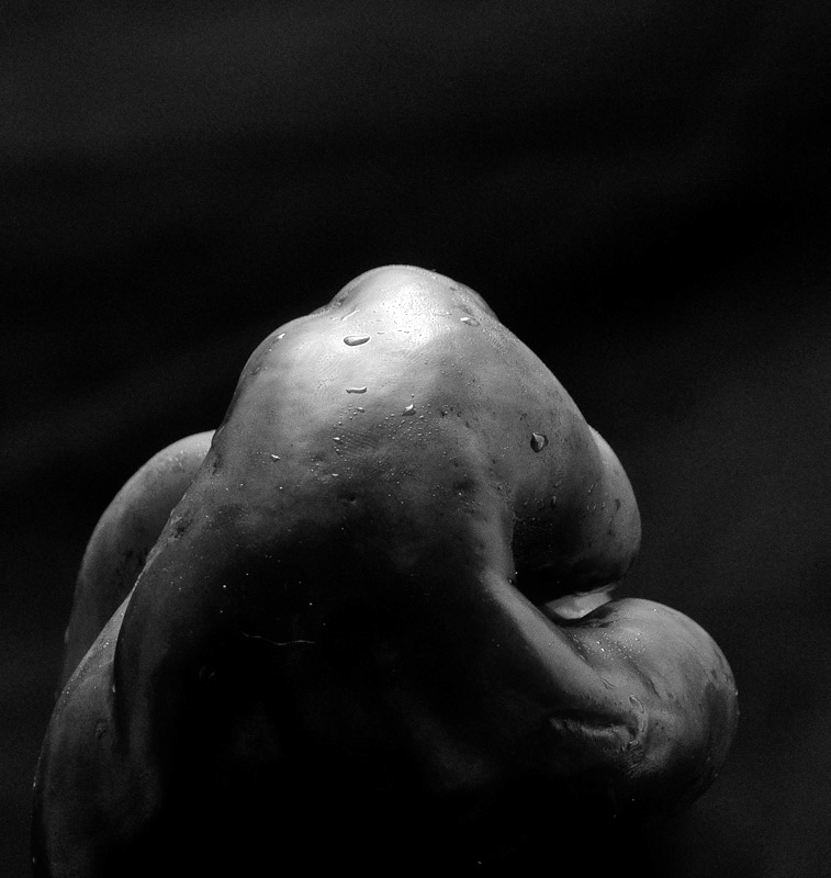 20100612 Westons Pepper D26071-Edit-Edit-s800 -1