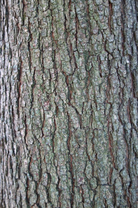 20120821 First Test Shots RX00024-FS No Sharpen-1