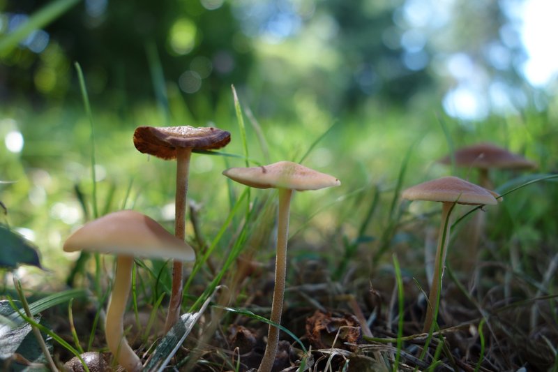 20120821 First Test Shots RX00040-FS No Sharpen-1