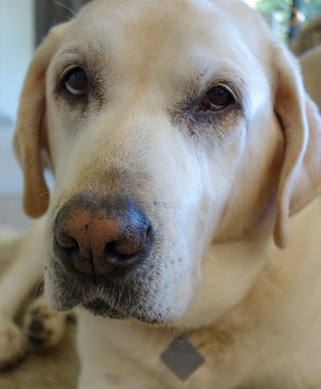 20120821 First Test Shots RX00076-FS No Sharpen-1