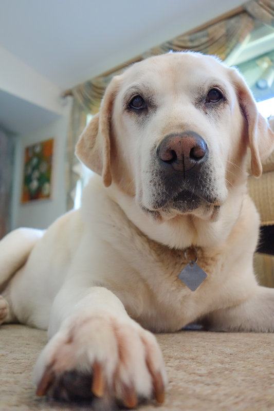 20120821 First Test Shots RX00086-FS No Sharpen-1