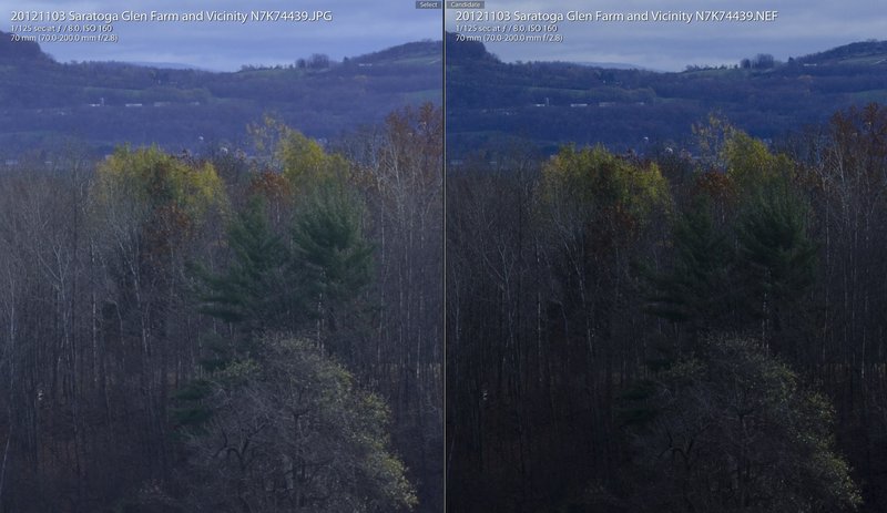 Nikon RAW+JPEG comparison