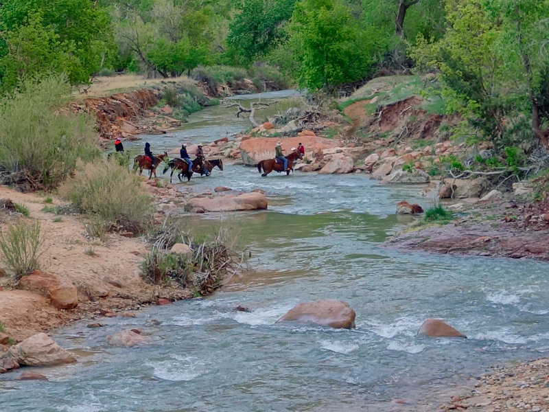 Zion RX3576 130x1040 1 to 1 unedited crop
