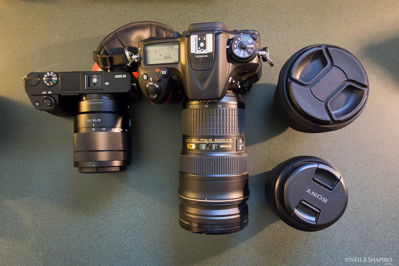 20140525 Sony A6000 versus Nikon D7100 RX7604-s1600-2