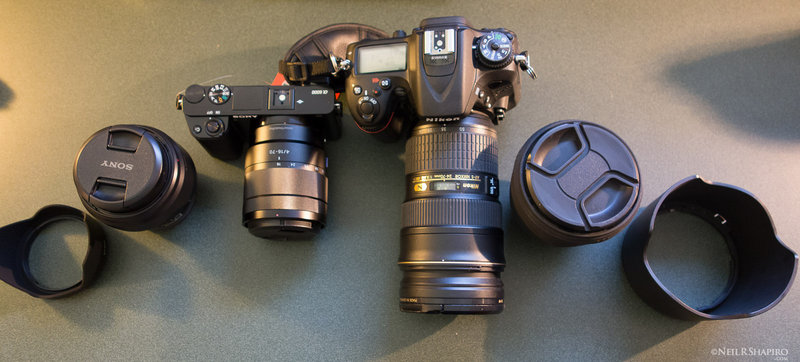 20140525 Sony A6000 versus Nikon D7100 RX7608-s1600-3