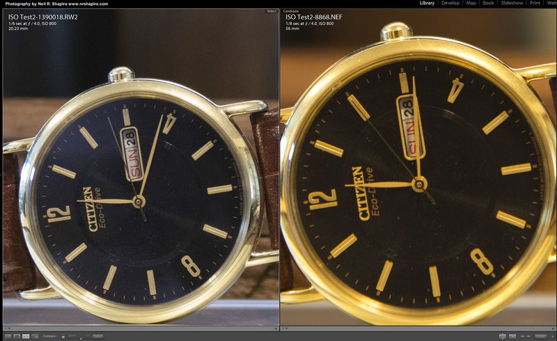 FZ1000 versus Nikon D600 RAW at 800