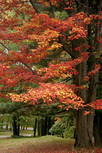 CRW_2614web.jpg