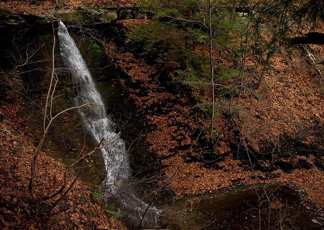 Autumn Falls in New York