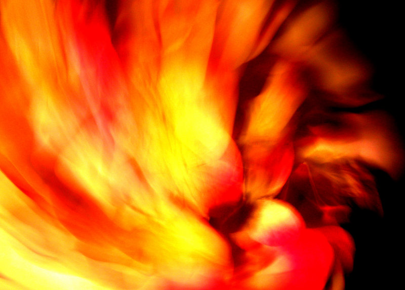 Firebird
