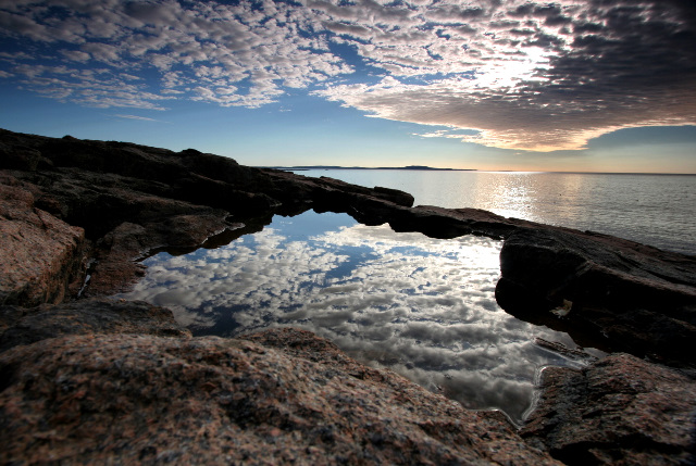Acadia Otter Point Tidal Pool