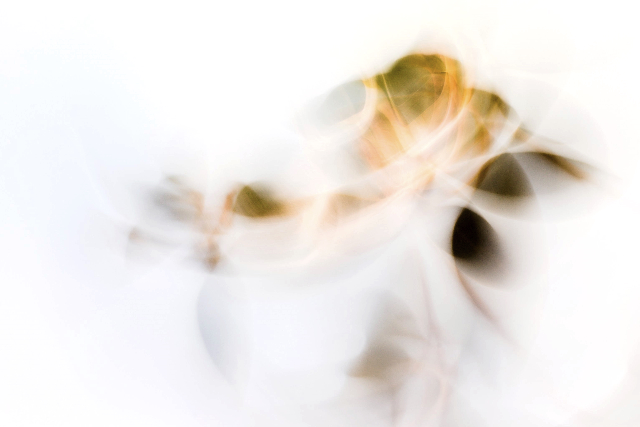 Ghosts of Winter