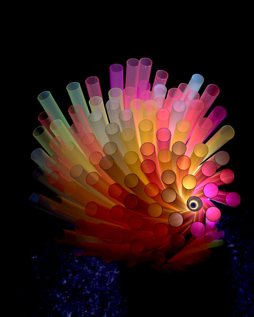 Spiked Rainbow Fish
